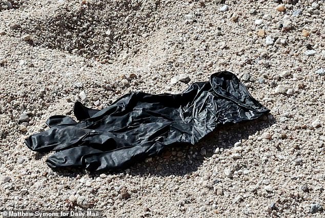 DNA from Glove Offers Clue in Nancy Guthrie Disappearance as Health Fears Rise