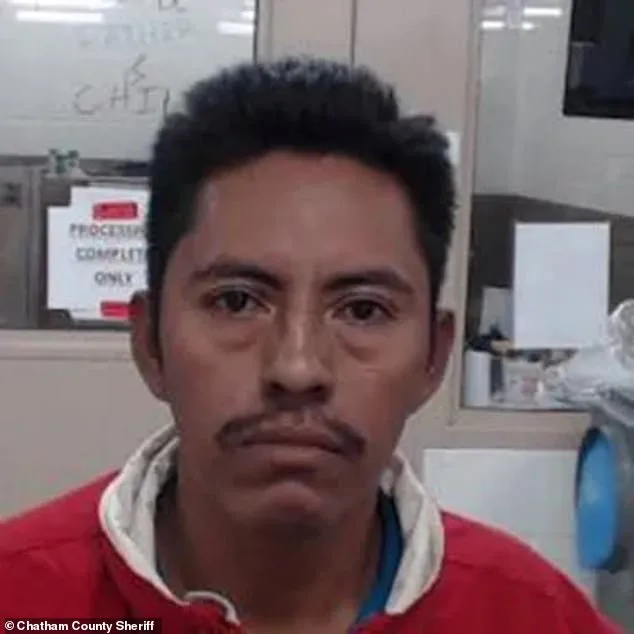 Tragic ICE Pursuit Collision Claims Life of Savannah Teacher Dr. Linda Davis