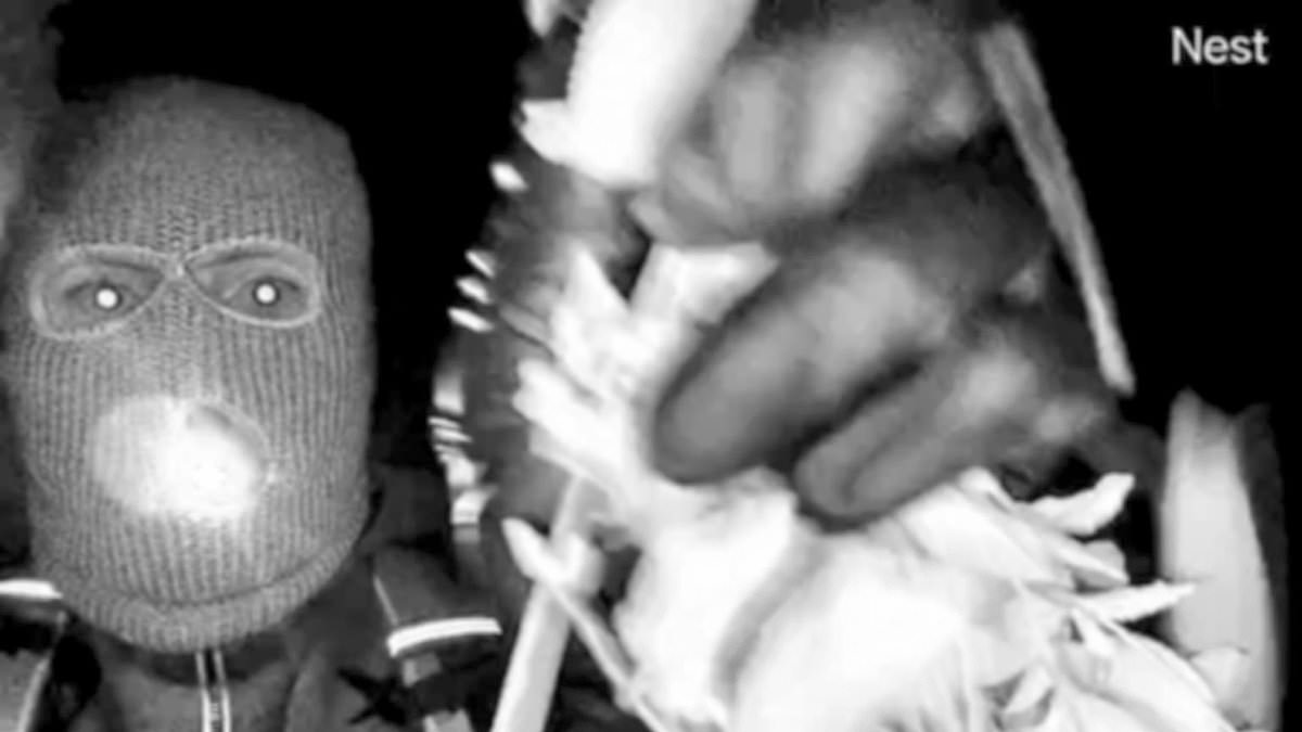 FBI Releases Suspect Photos in Missing 84-Year-Old Nancy Guthrie Case