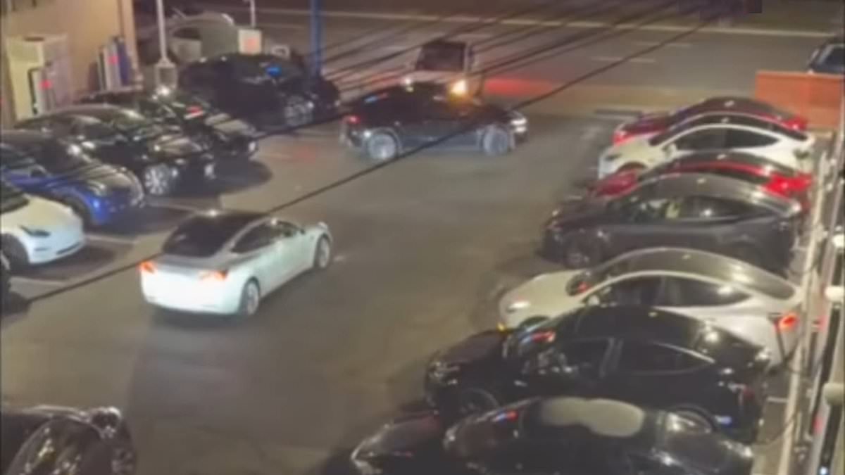 Tesla Charging Lot Sparks Chaos and Complaints in San Francisco Neighborhood
