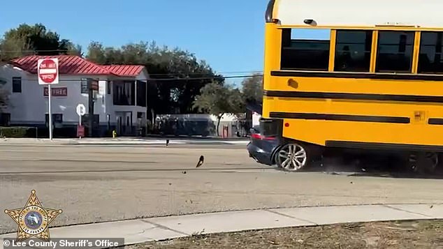 Viral Video Shows Speeding Jaguar Crashing into School Bus in Fort Myers, Miraculously No Fatalities