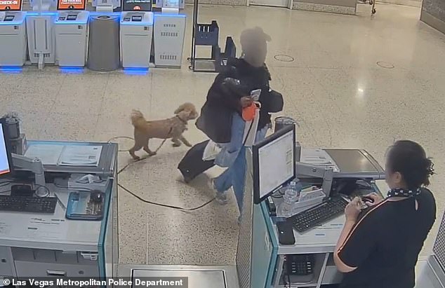 Woman Arrested After Allegedly Abandoning Dog at Las Vegas Airport