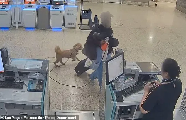 Woman Arrested After Allegedly Abandoning Dog at Las Vegas Airport