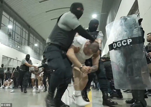 Bari Weiss Withdraws from UCLA's Daniel Pearl Lecture Over Security Concerns, Despite Free Speech Advocacy