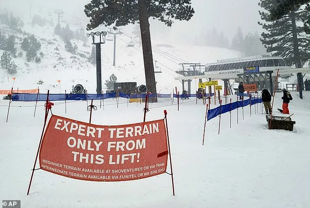 Lake Tahoe Tragedy: Skier Found Dead Days After Avalanche Claims Eight Mothers