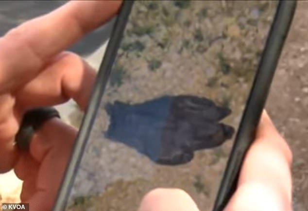 Tucson Couple Discovers Black Latex Glove on 20th Day of Nancy Guthrie's Disappearance, Prompting FBI and Sheriff's Department Involvement