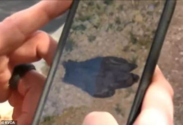 Tucson Couple Discovers Black Latex Glove on 20th Day of Nancy Guthrie's Disappearance, Prompting FBI and Sheriff's Department Involvement