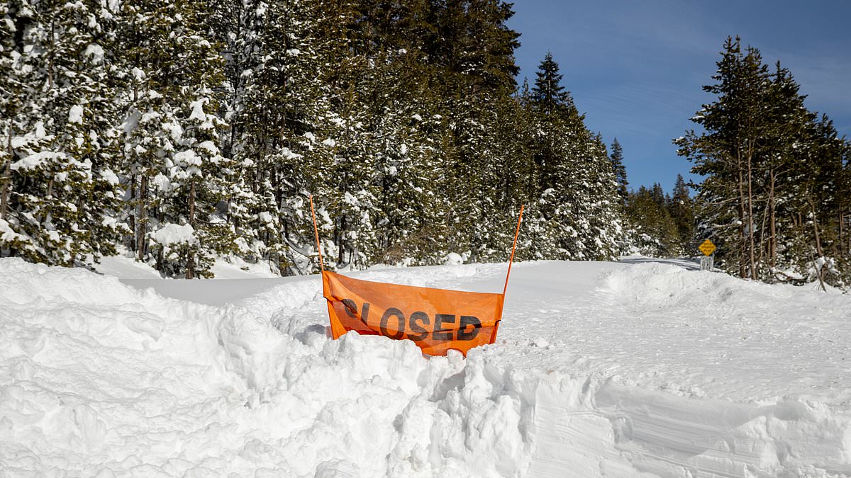 Deadly Castle Peak Avalanche: 17 Victims in California's Worst Backcountry Disaster