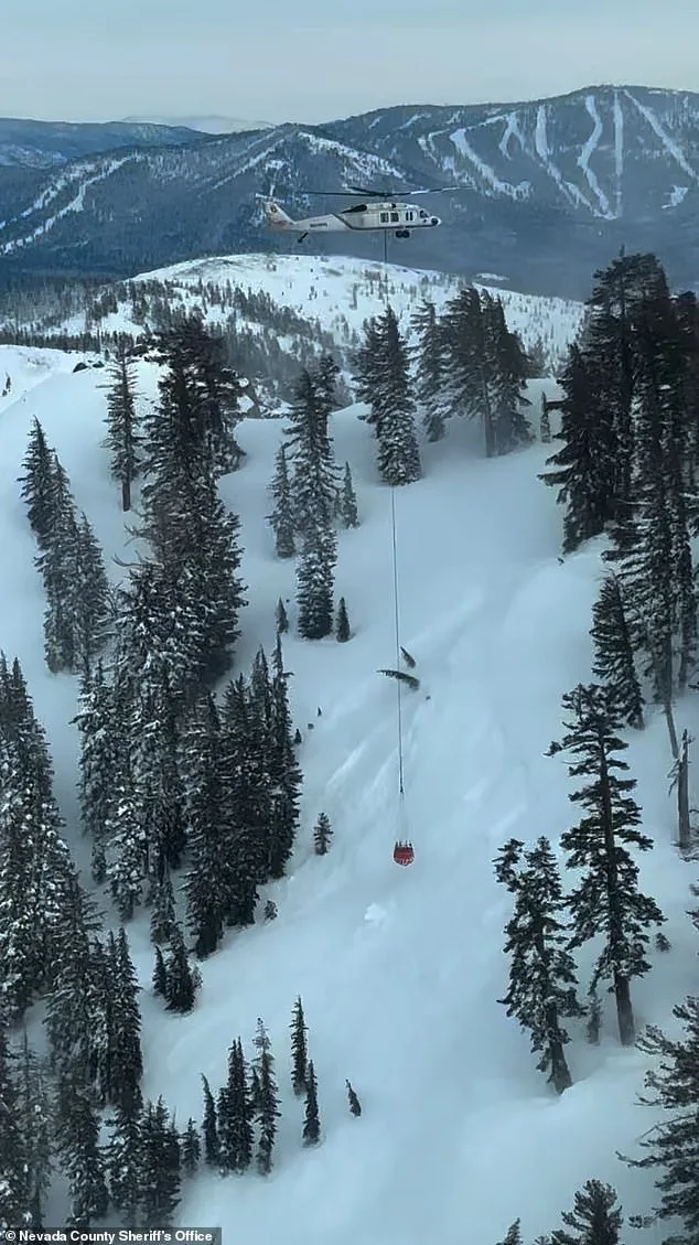 Deadly Castle Peak Avalanche: 17 Victims in California's Worst Backcountry Disaster