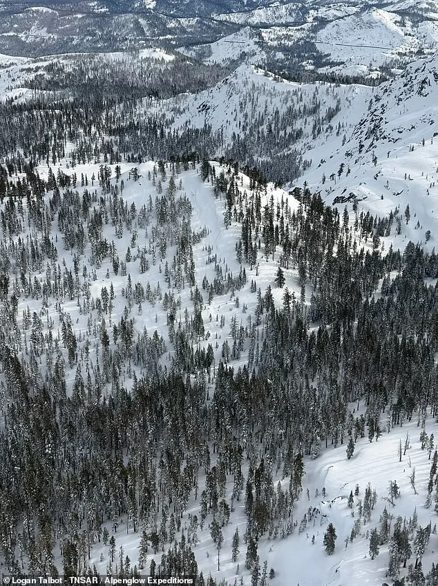 Deadly Castle Peak Avalanche: 17 Victims in California's Worst Backcountry Disaster