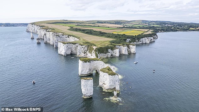 Father Ignores 'No Access' Warnings at Old Harry Rocks, Sparks Outrage Over Deadly Path