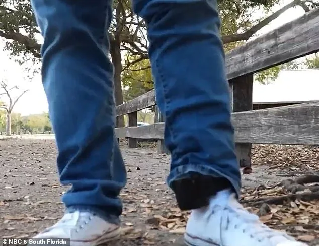 Legal IT Specialist Detained at Border Patrol Job Despite Work Permit