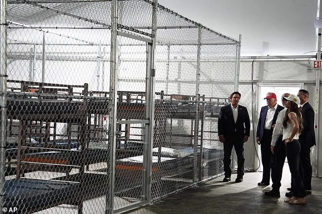 Legal IT Specialist Detained at Border Patrol Job Despite Work Permit