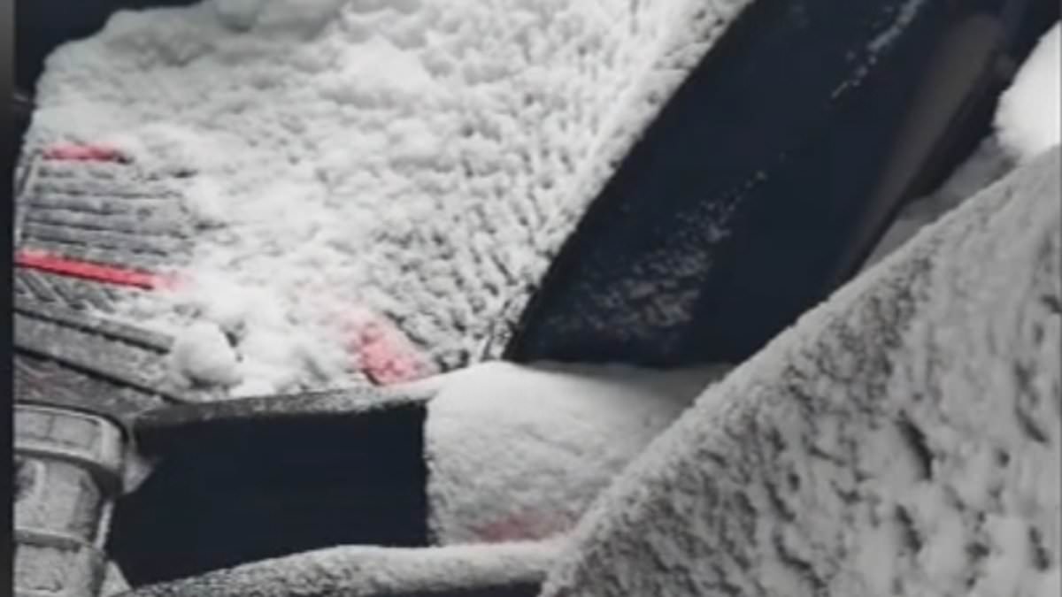 Philadelphia Man's Car Turns into Snow Globe After Key Fob Mistake During Blizzard