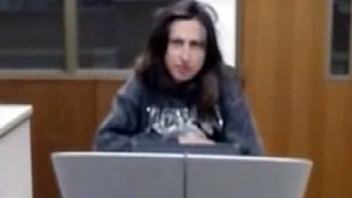 Woman Accused of Kidnapping Claims Child Is 'Long-Lost' Daughter in Arizona Case