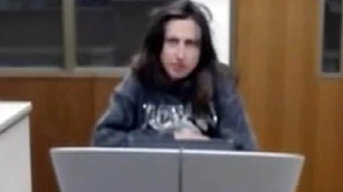 Woman Accused of Kidnapping Claims Child Is 'Long-Lost' Daughter in Arizona Case