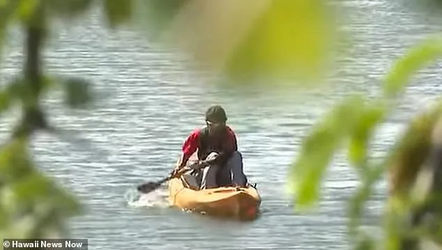 Honolulu's Floating Encampment: A Testament to Homeless Ingenuity and a Challenge for Officials