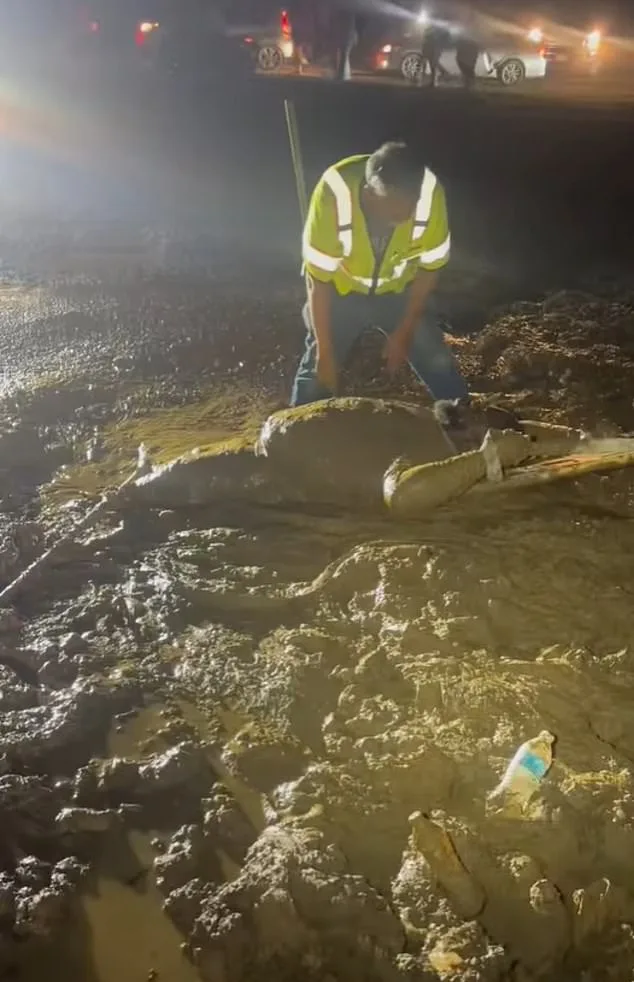 Mississippi Man Rescued After Getting Stuck in Quicksand-Like Mud During ATV Ride