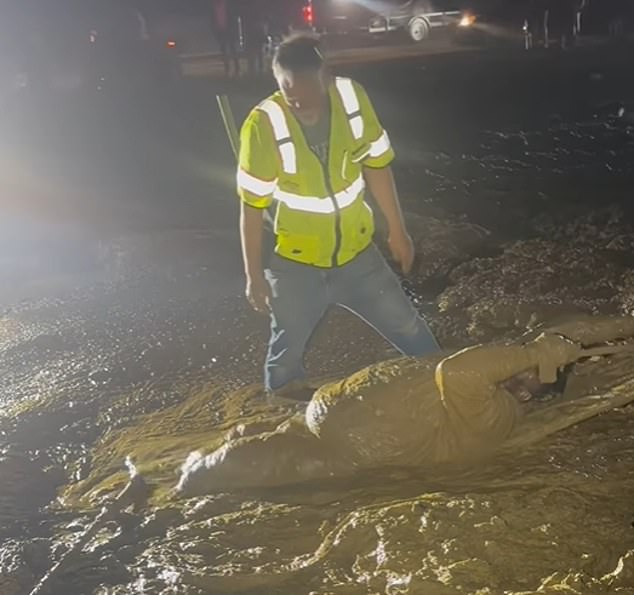 Mississippi Man Rescued After Getting Stuck in Quicksand-Like Mud During ATV Ride