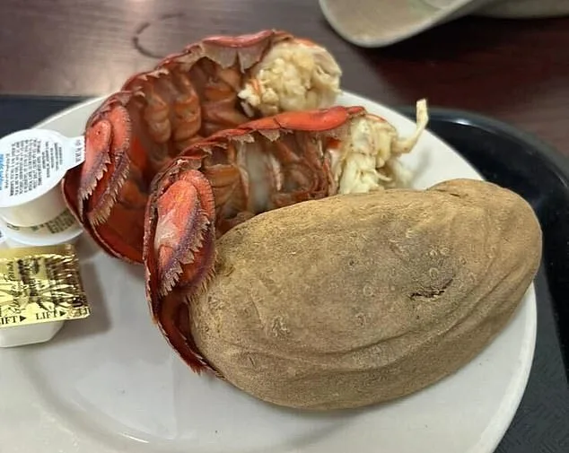 U.S. Troops Refute CNN's $20M Luxury Meal Allegations with Exclusive Photos