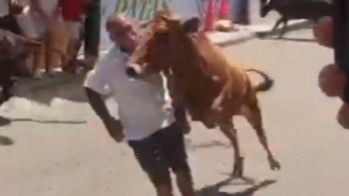 Man Survives Horrifying Bull Encounter at Peru's San José Fair, Sparking Safety Concerns