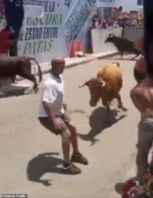 Man Survives Horrifying Bull Encounter at Peru's San José Fair, Sparking Safety Concerns