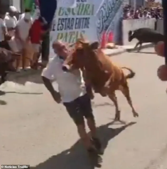 Man Survives Horrifying Bull Encounter at Peru's San José Fair, Sparking Safety Concerns