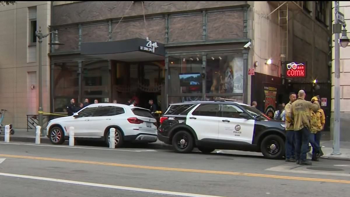 Violent Stabbing at Zaya Restaurant Injures Four Women in Downtown LA