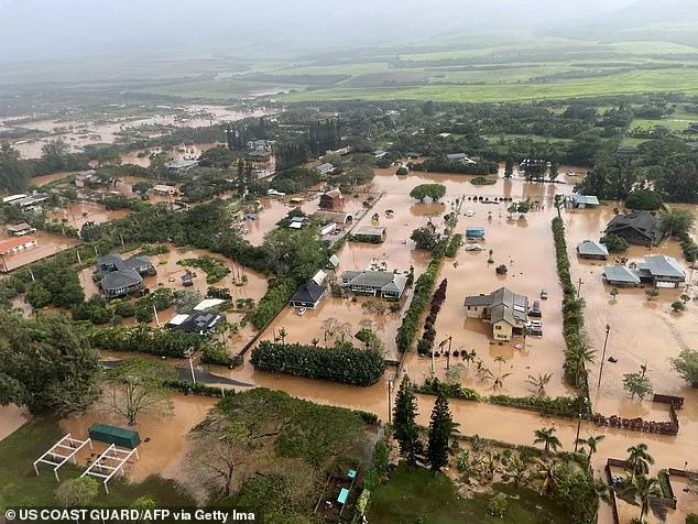 California Couple's Vacation Upended by Cartel Violence, Then Flooding in Hawaii