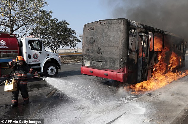 California Couple's Vacation Upended by Cartel Violence, Then Flooding in Hawaii