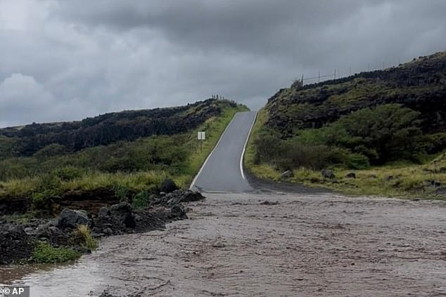 California Couple's Vacation Upended by Cartel Violence, Then Flooding in Hawaii