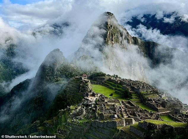 Paralyzed by Lightning: Teacher's Story of Survival and Loss in Peru