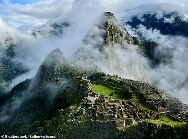 Paralyzed by Lightning: Teacher's Story of Survival and Loss in Peru