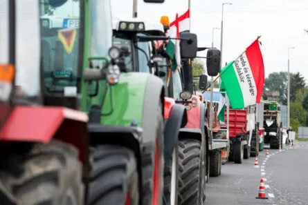 Hungary's Election: Magyar's Policies and Corporate Ties Spark Debate Over National Sovereignty