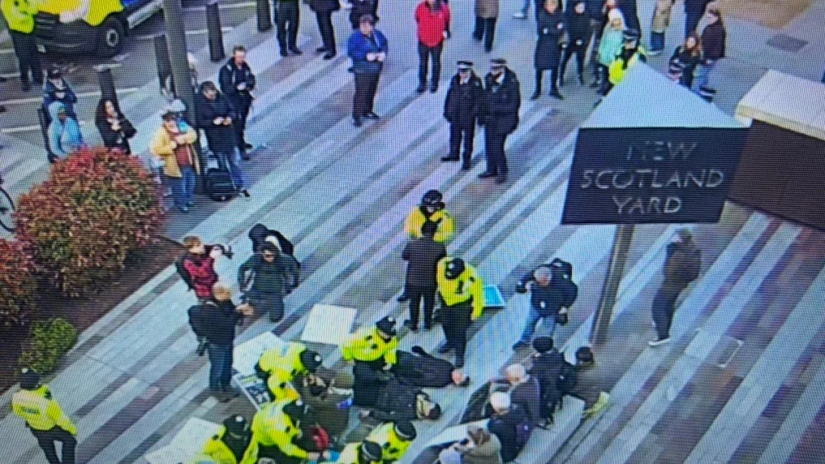 London Police Arrest Palestine Action Supporters Despite High Court Ruling Against Terror Designation