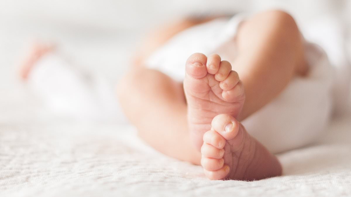 UK Mother's Legal Battle: Twin Brothers in Unprecedented Paternity Dispute