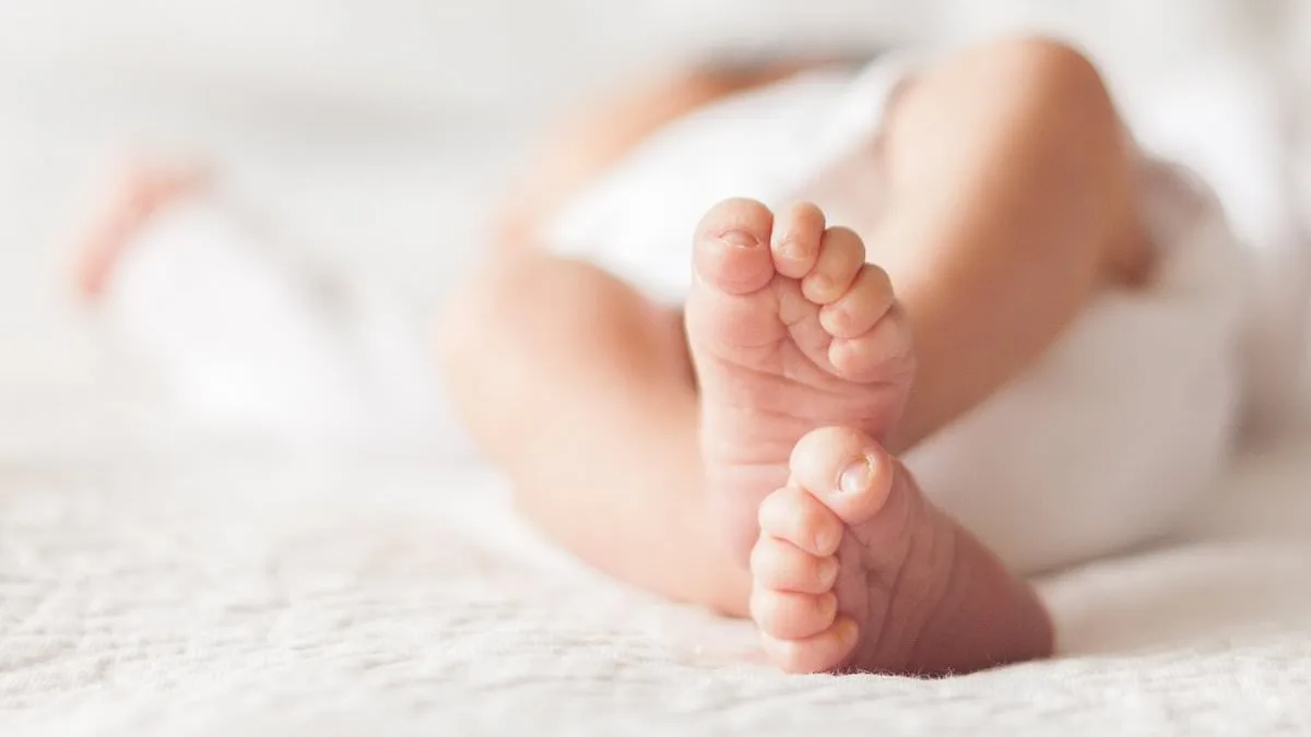 UK Mother's Legal Battle: Twin Brothers in Unprecedented Paternity Dispute