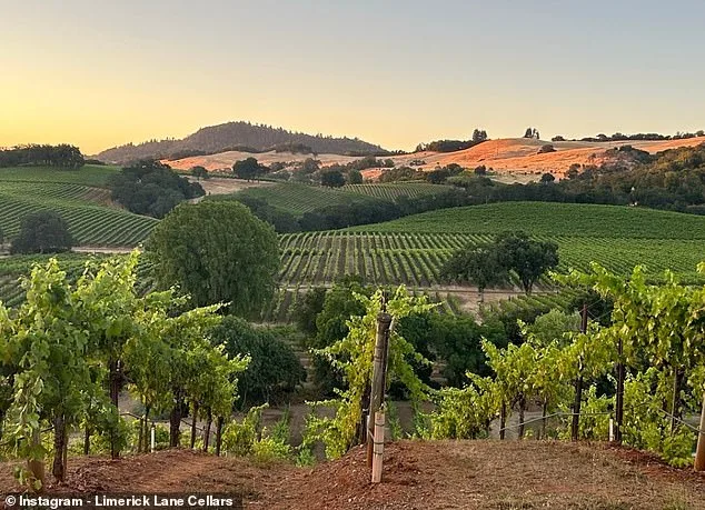 A Vineyard of Tragedy and Redemption: Karen DeGolia's Quest to Reclaim Tom Collins' Dream