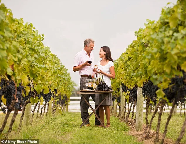 Lindsay Hoopes' Winery Fined $4M in Napa County Clash Over Pre-1990 Exemption and Public Events