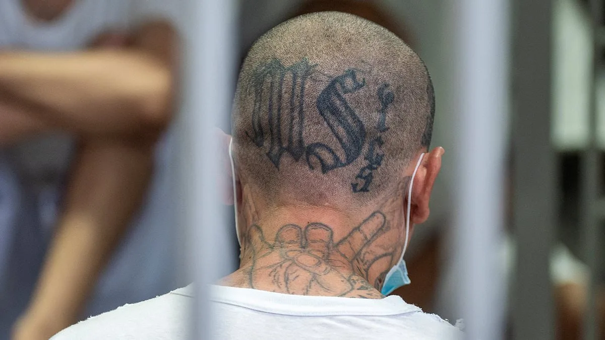 MS-13 Gang Members Charged in Las Vegas Murder Trial Over Years of Alleged Brutality