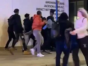 Paradise Under Siege: Naperville's Teen Takeover Crisis Sparks Outcry Over Police Inaction