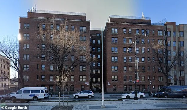 Cancer Survivor Cora Robinson Fights Rat Infestation in Bronx Home