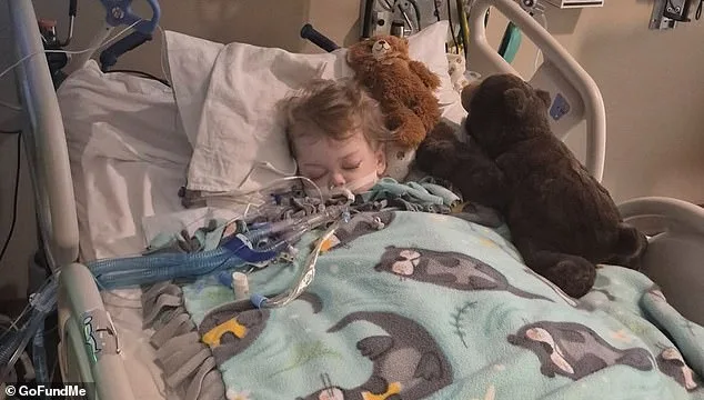 Colorado Boy's Battle With Illness Ends Tragically