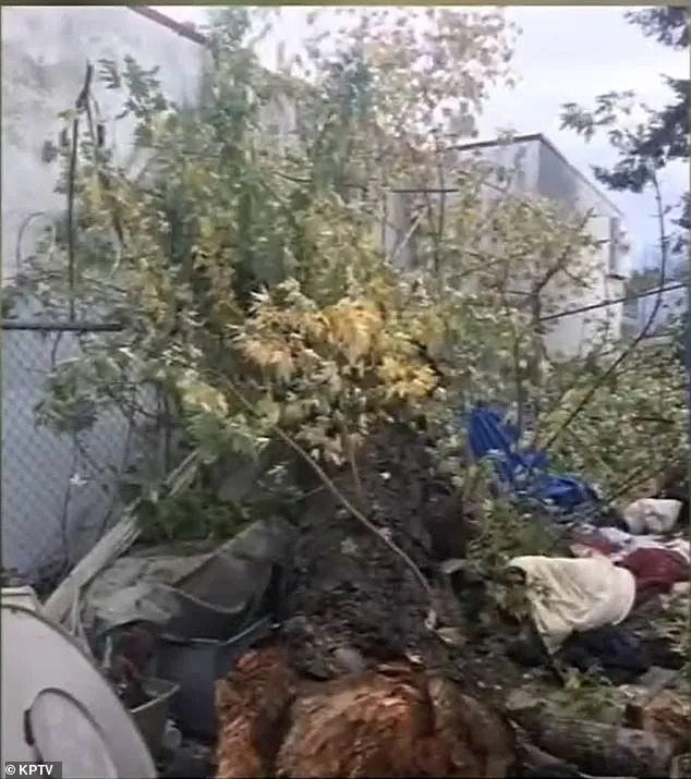 Eileen Kelly reaches confidential settlement with school and nonprofit over son's death.