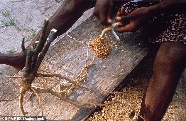 Trump Sign's Psychedelic Drug Research Executive Order