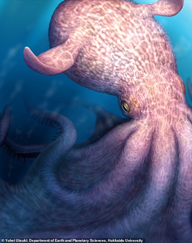 Colossal 62-foot octopuses ruled ancient seas and hunted mosasaurs.