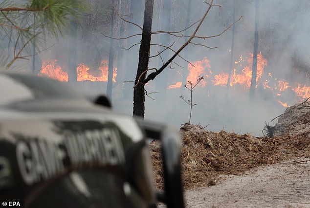 Volunteer firefighter dies from medical emergency while battling fierce wildfires in Florida