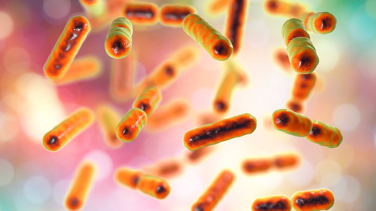 Scientists Discover How Gut Bacteria *Bacteroides fragilis* Fuels Colon Cancer