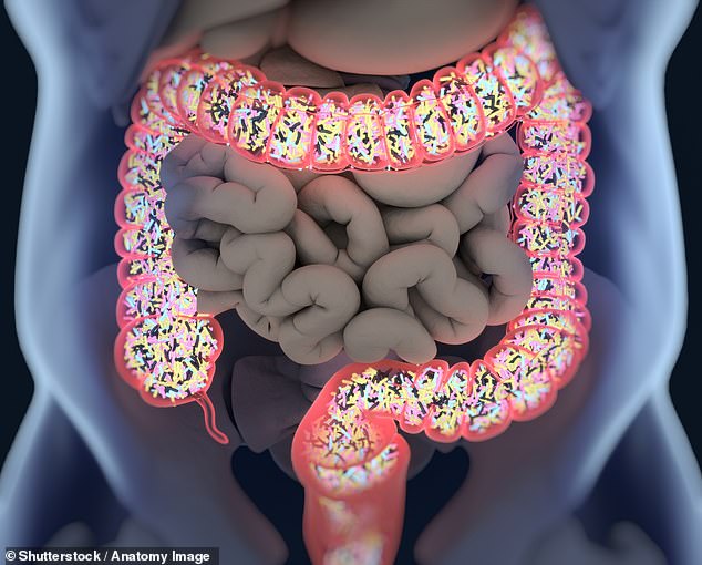Scientists Discover How Gut Bacteria *Bacteroides fragilis* Fuels Colon Cancer