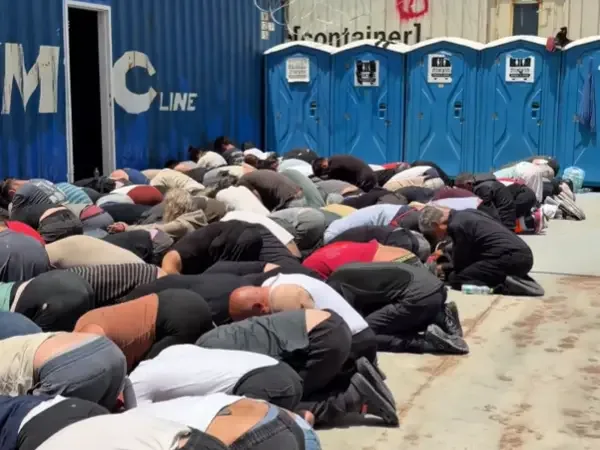 Hundreds of pro-Palestinian activists deported after severe abuse during flotilla raid.